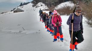 Swlo0s99z8gefwqd0o3khe1b0rwl 1588066114 ht8