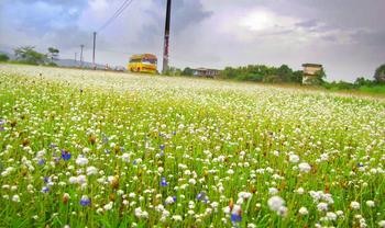 Swxp9b6mcff3obpn6c1m0dcu6ykm 1550737194 madayippara 2c kannur by manoj karingamadathil.jpg