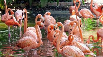 Szmk0fk6h6q17a1ab5nlmjlfvpbl 1604316591 51 image 1