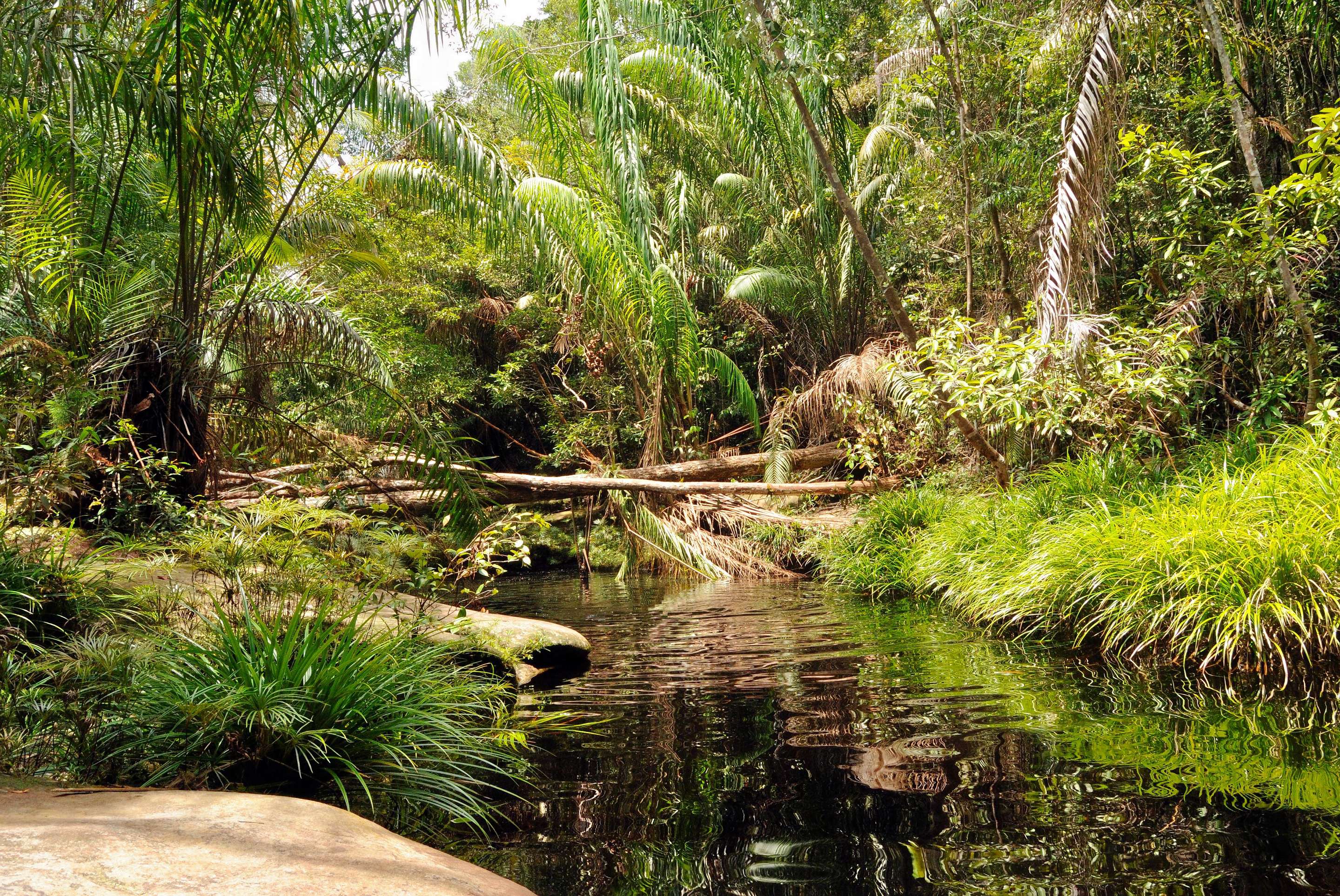 Butterfly And Reptile Park Overview
