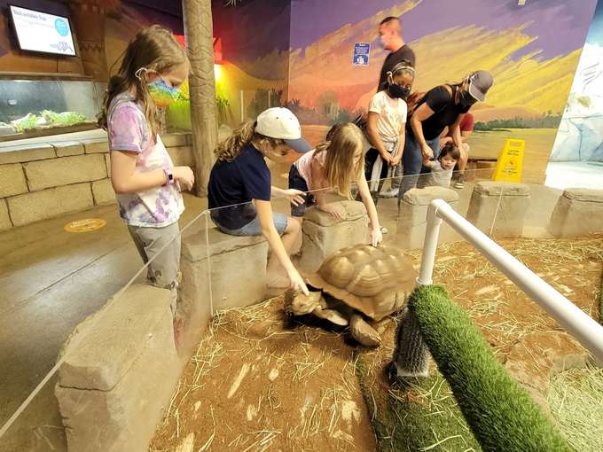 Have an amazing interactive experience at the SeaQuest Folsom