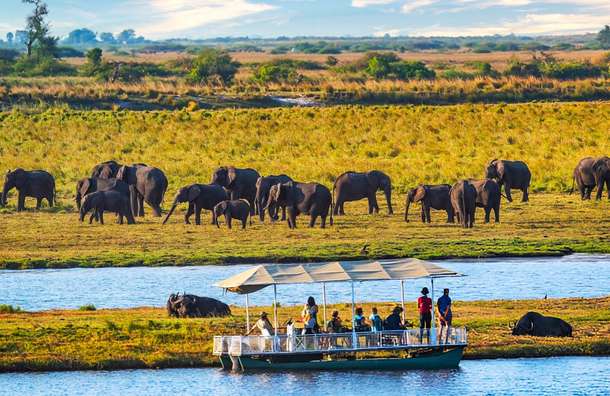 Tourist enjoying sunset cruise and watching herd of elephants