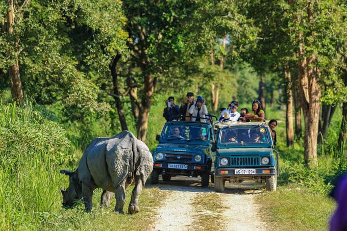 Kaziranga National Park