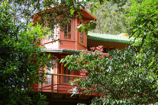 A Treehouse Amidst The Valley Of Coorg Image