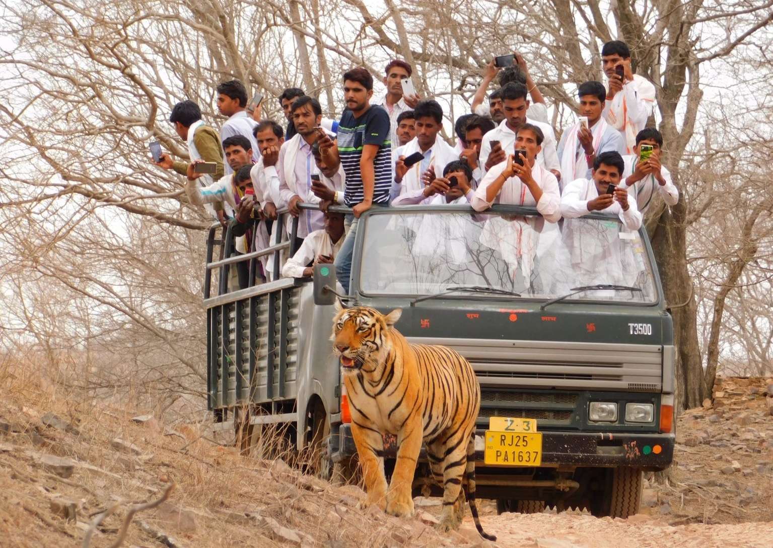 Visit the Jim Corbett National Park and enjoy a Canter Safari