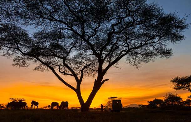 T4gj6jx8az3srk9lph6z7iuntsmn dl.beatsnoop.com 3000 lkqbmcnmyg