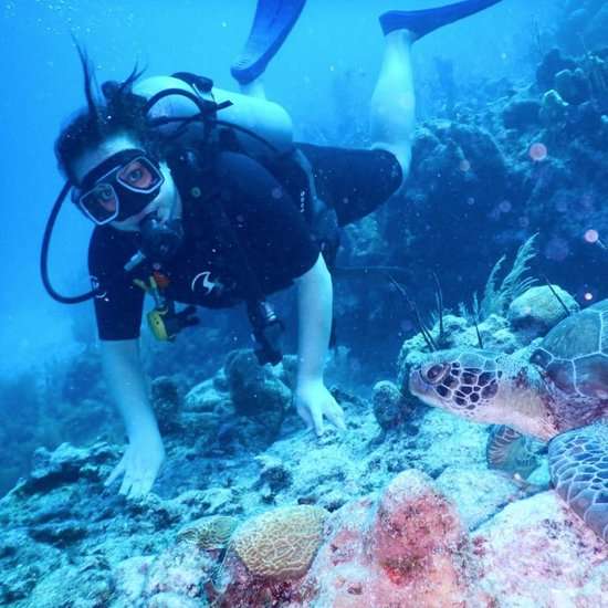 Scuba Diving in Gujarat Image