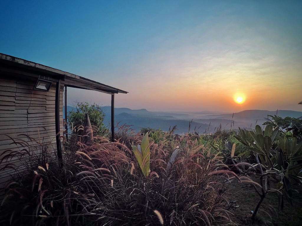 Forest Hills Tala Image