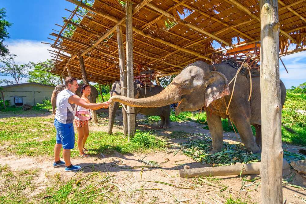 4 Days Sri Lanka Honeymoon Tour On A Budget Image