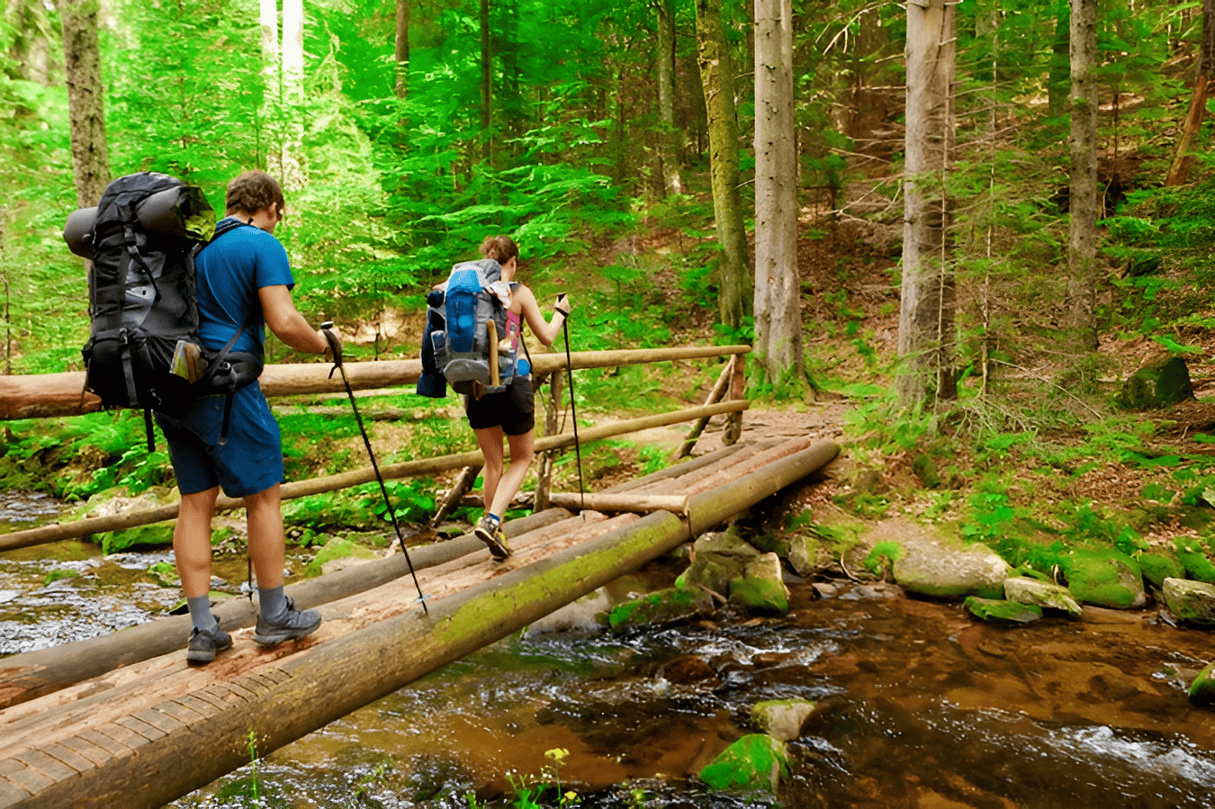 Go on a scenic 4 km trail through lush landscapes