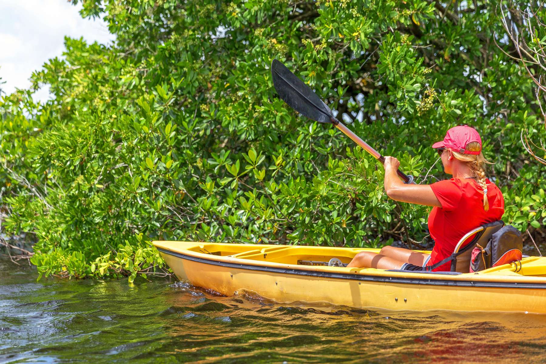 Mangrove Kayaking in Singapore Image