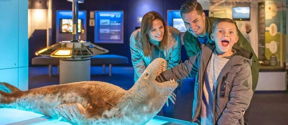 International Antarctic Centre Ticket in Christchurch Book