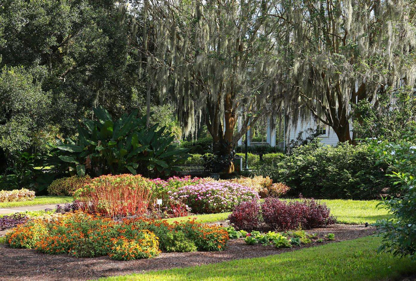 Harry P Leu Gardens Tickets Image