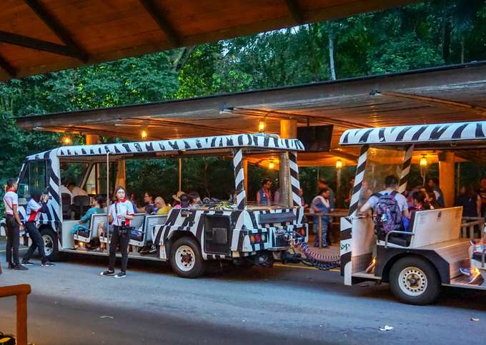 Buy night safari tickets Singapore and enjoy night safari tram