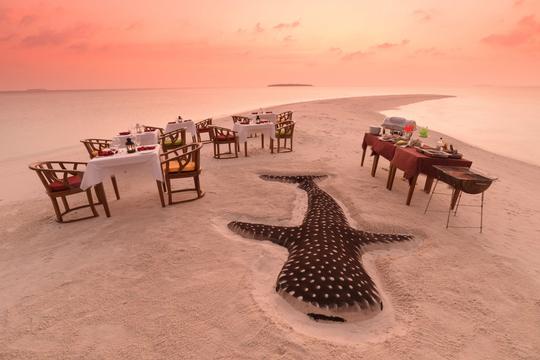 Dhigufaru Island Resort, Maldives Image