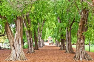 Td505g9disnjbcxn26zye05yv5z3 1621409633 shutterstock 686745088