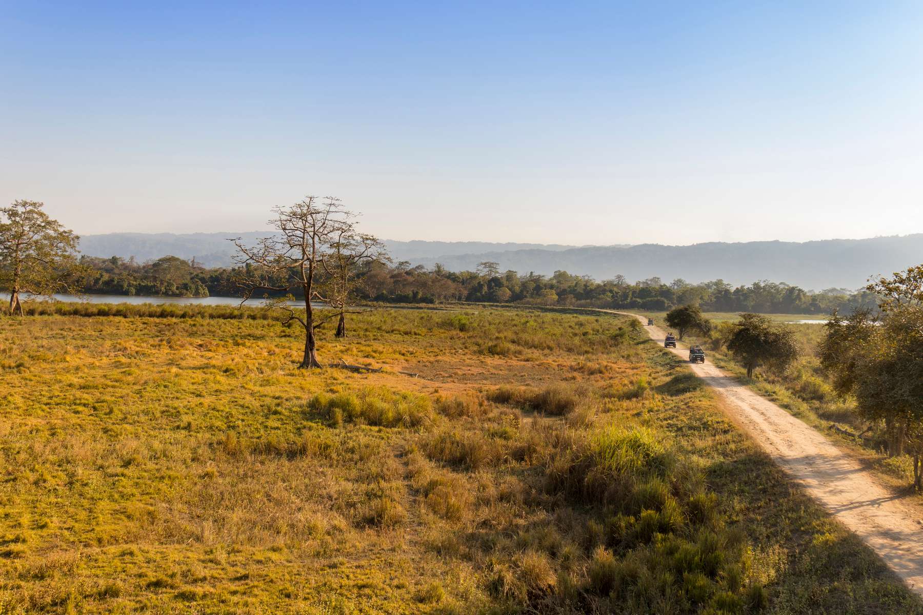 Jeep Safari In Kaziranga Image