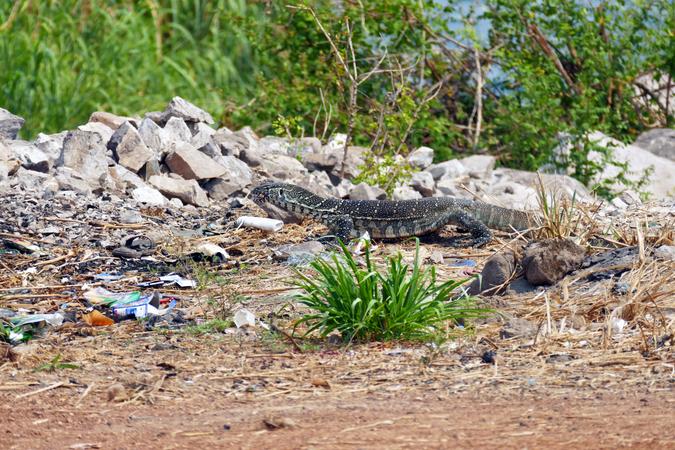 Nsumbu National Park