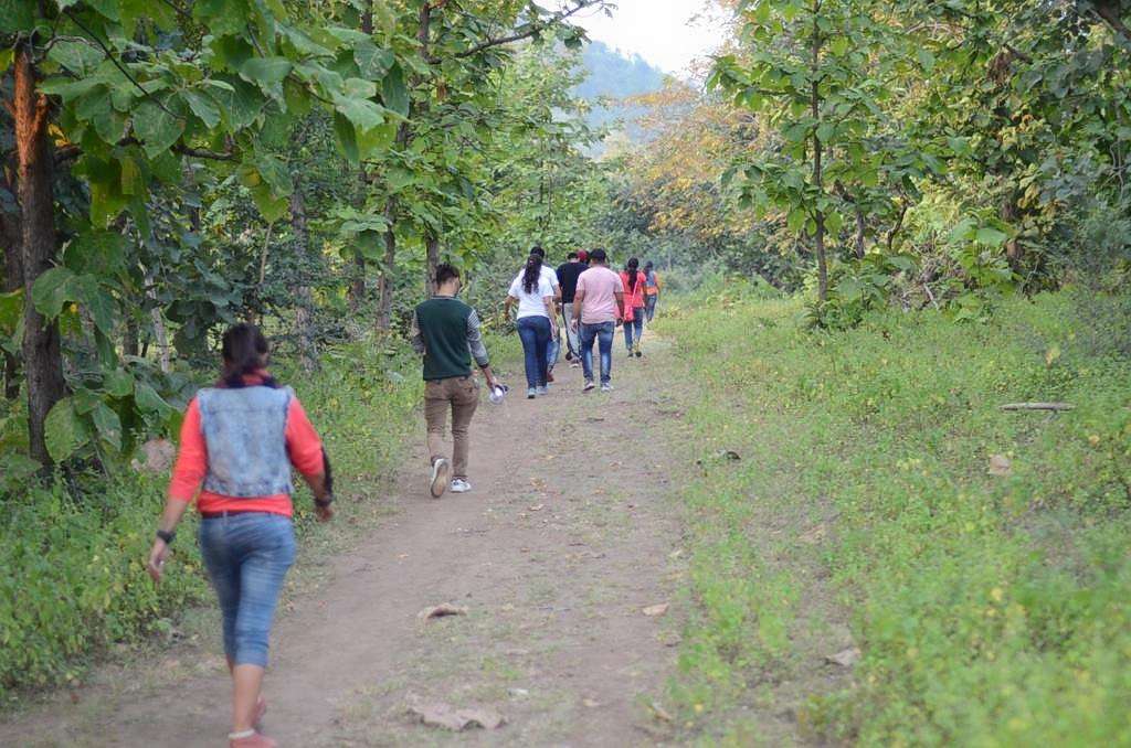 Jungle Tour Of Kheoni Wildlife Sanctuary Image