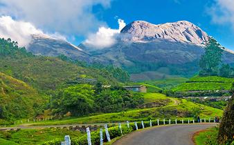 Tgs1g5bxoqfd77kjm8fr91zkbblt 640px munnar hillstation kerala