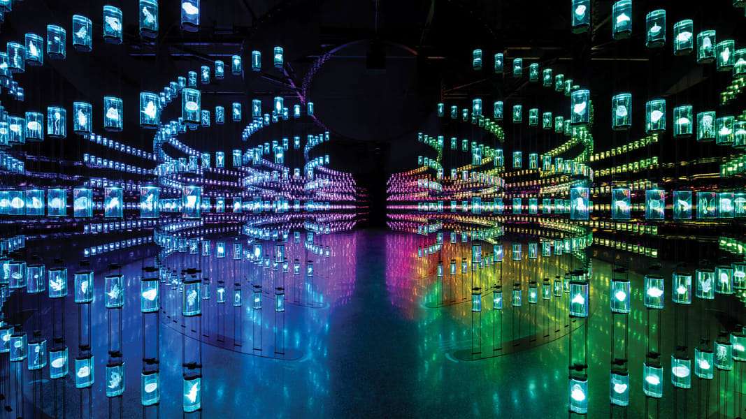 Museum of the Future Admission Tickets Image