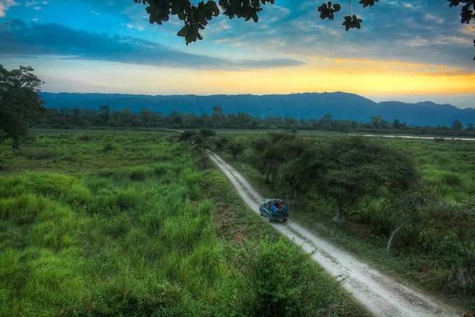 Enjoy a jeep ride through the UNESCO-Listed Kaziranga National Park