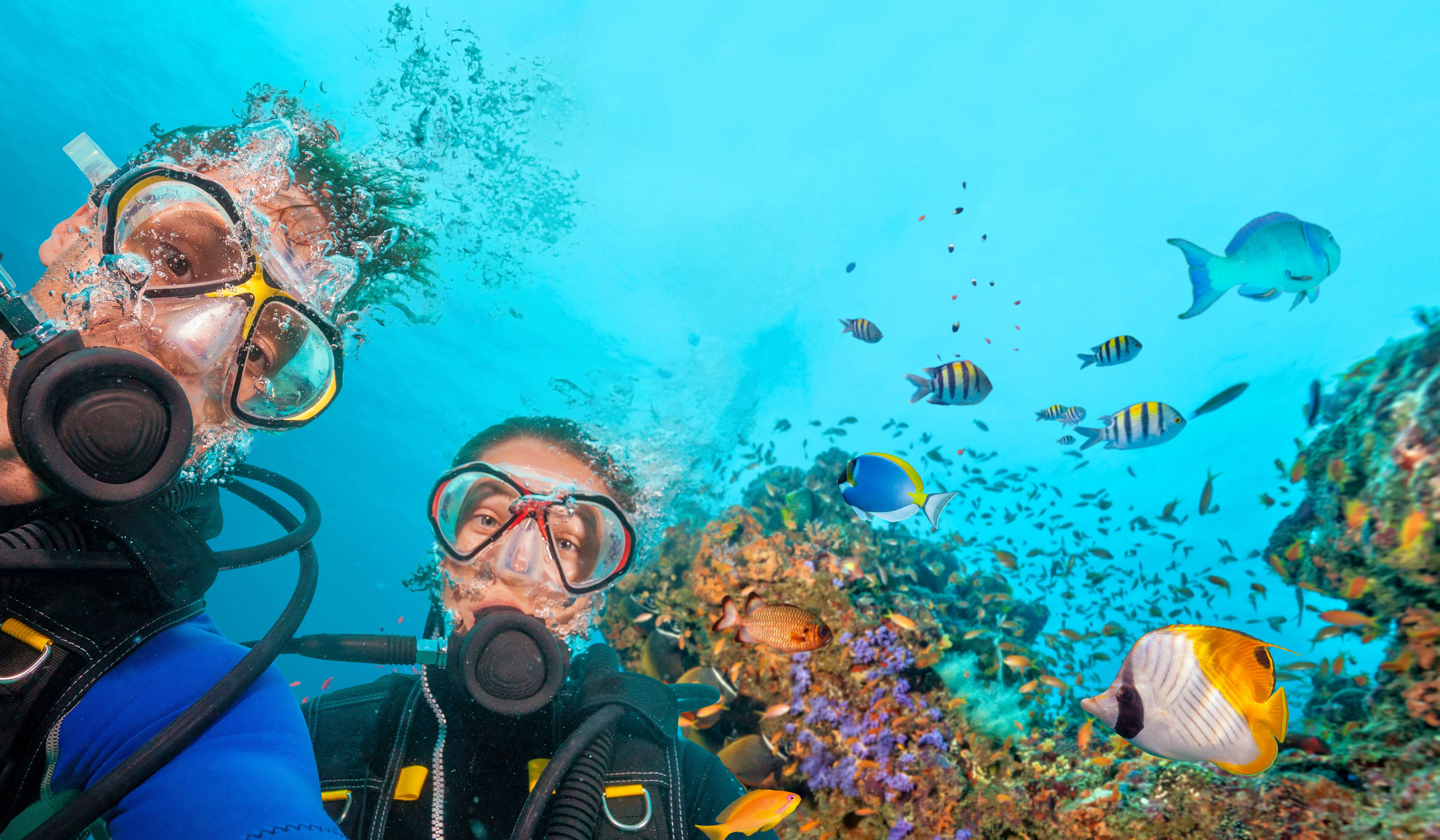 Scuba diving in Pattaya