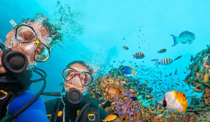 Scuba diving in Pattaya