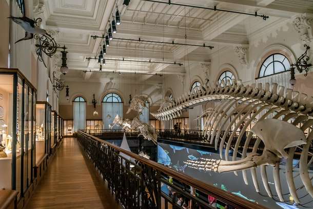 Thqw378xdqukrn5e7dmo1mh9ozde shutterstock 382249663