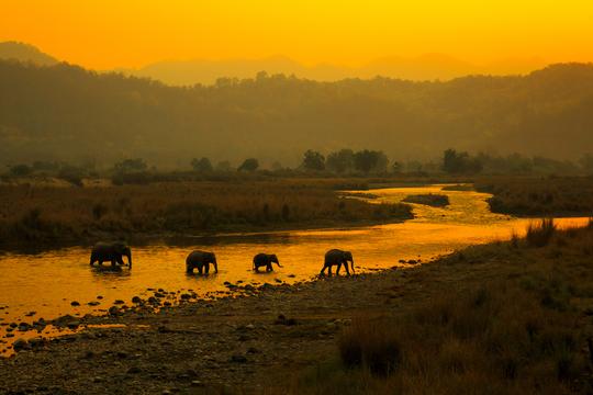 Jim Corbett And Nainital Tour From Delhi Image