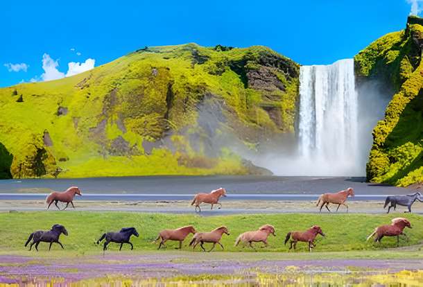 Tj4bu77fbowai84lj32ksqzti62f 7xm.xyz241155