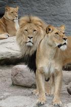 Tj8m97r40r6rercljpt2nxp82wt7 z3