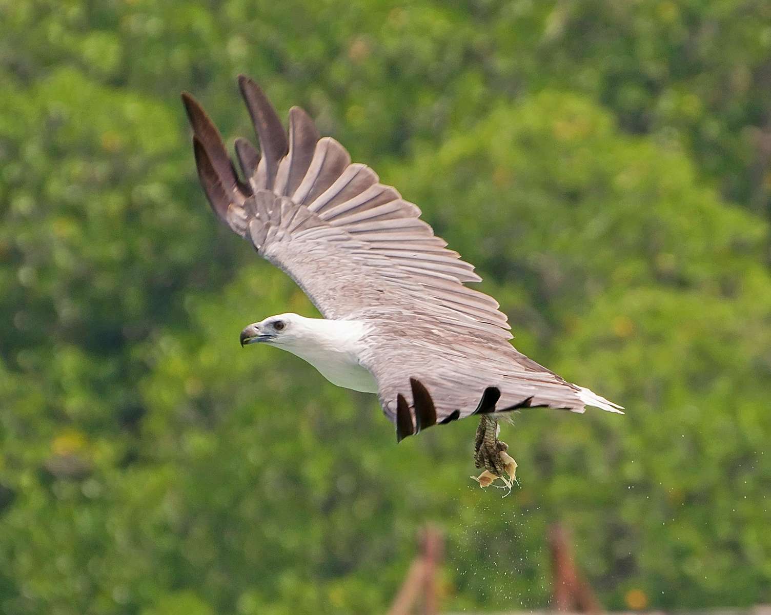 Langkawi Unesco Global Geopark Adventure Cruise Image