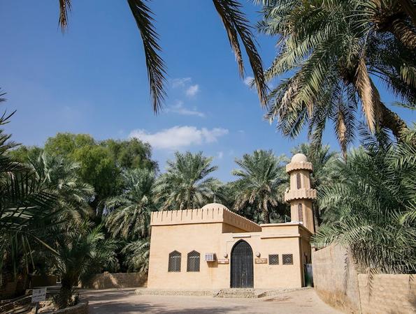 Al Ain Oasis