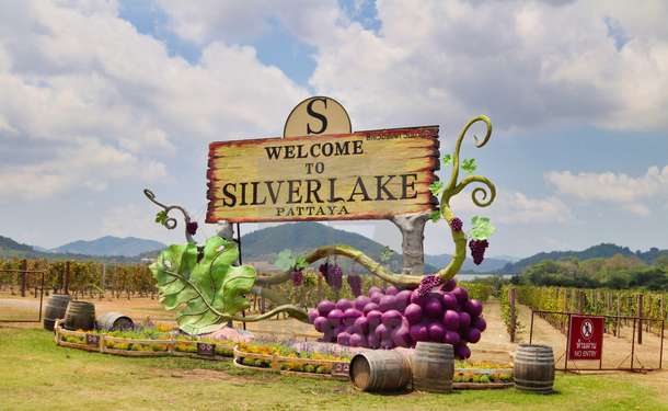Silverlake Vineyard Pattaya Tickets