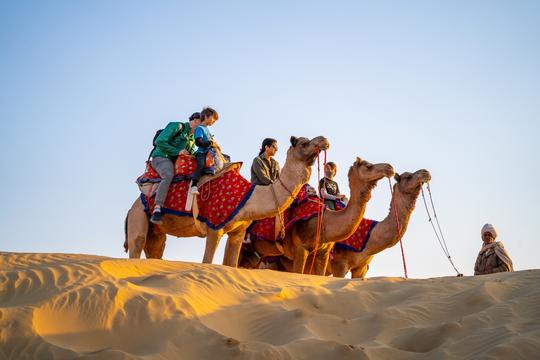 Private Dinner on Dunes with Camel and Jeep Safari Image