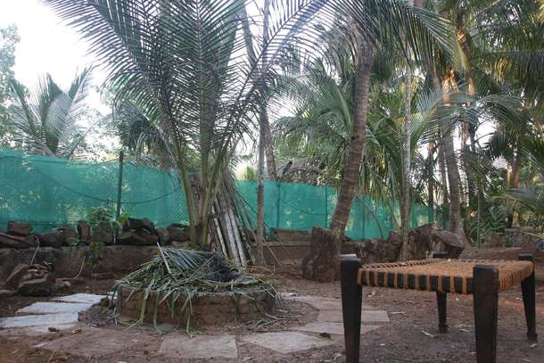 Tml7vbsdguj10exhf9xd4yosa7pq 71106e9f afce 4261 8b3d 7071378c10f9