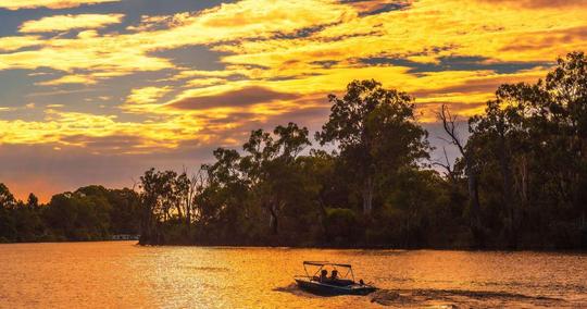 Kuala Selangor Fireflies Night Tour Image