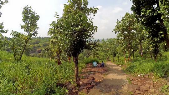 Mahadev Paani Waterfall Trek Image