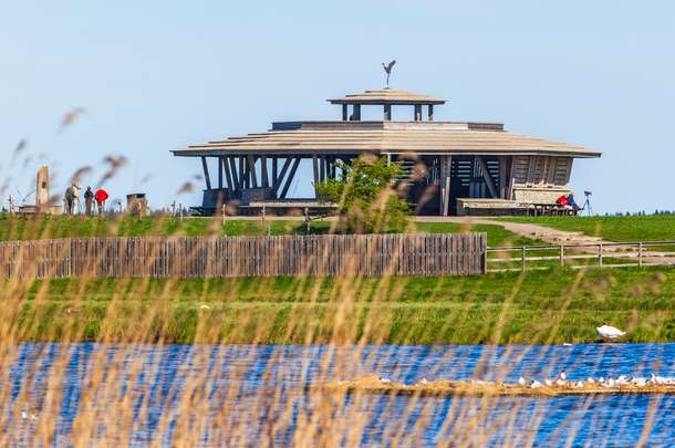Spend time in the tranquil ambiance of Cañada de los Pájaros Bird Reserve