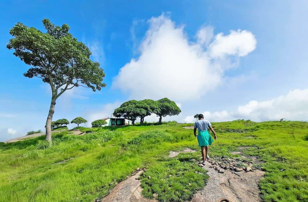 Narayangiri Trek Image