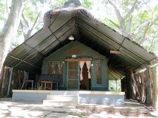 Kabini River Lodge Image