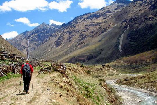 Bumthang Owl Trek Image