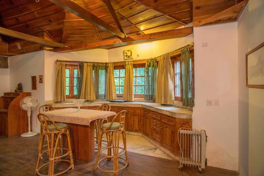 Workation Into The Woods Image