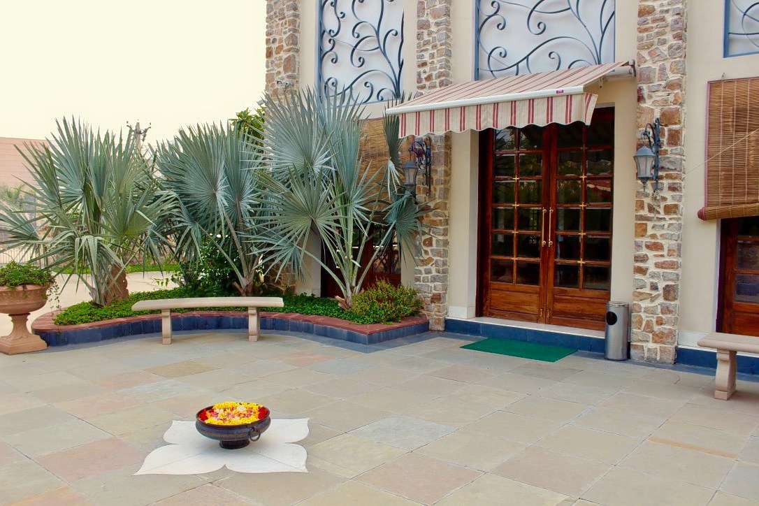 Tree of Life, Ranthambore Image