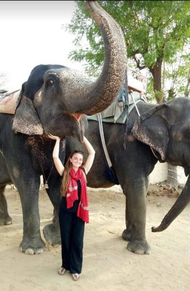 A day with an Elephant Image