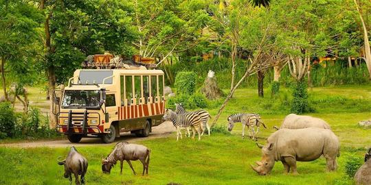 Vinpearl Safari Phu Quoc Tickets Image