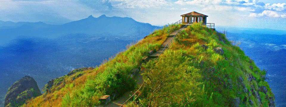 Mysore Sightseeing Tour Image