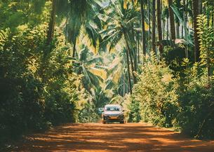 U1jmzax1yvcrorr14hxt04u2vzwh n3aen4gdx93dzhjftuvztfo6cn4l goa%20rental 2%20(1)