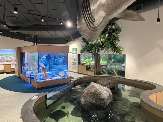 Newport Aquarium Tickets Image